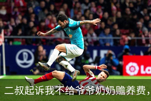 二叔起诉我不给爷爷奶奶赡养费，法官问我为什么不出钱？