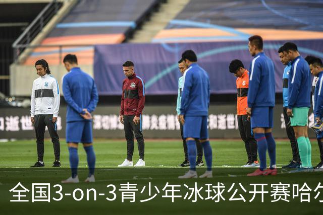 全国3-on-3青少年冰球公开赛哈尔滨赛区比赛收官