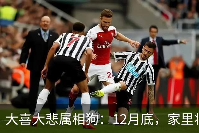 大喜大悲属相狗：12月底，家里将发生5件大事，提前准备