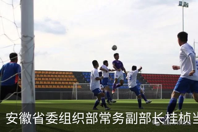 安徽省委组织部常务副部长桂桢当选安徽省委常委