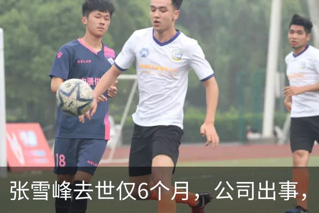 张雪峰去世仅6个月，公司出事，武亮“转移财产”只是冰山一角
