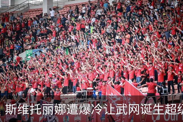斯维托丽娜遭爆冷让武网诞生超级黑马，霍达尔领走上海逆转王头衔