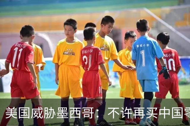 美国威胁墨西哥：不许再买中国零件！墨西哥：那涨价三倍你干吗？