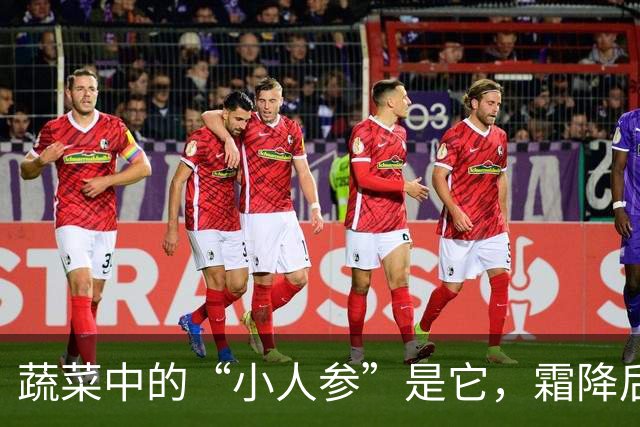 蔬菜中的“小人参”是它，霜降后常吃，一补充维生素，二提高免疫力，三低热量