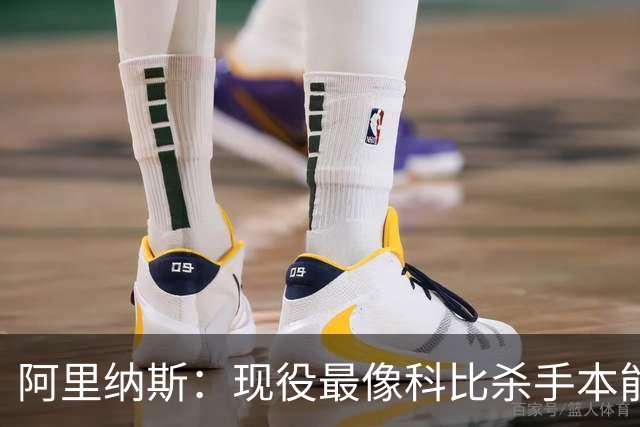 阿里纳斯：现役最像科比杀手本能的是布伦森 亚历山大紧随其后