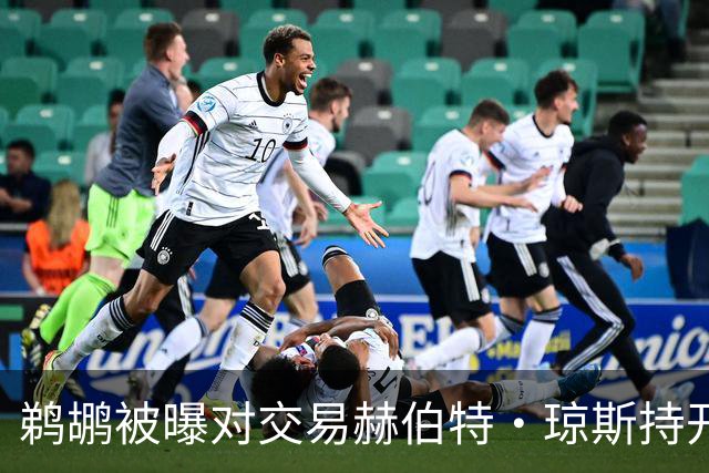 鹈鹕被曝对交易赫伯特·琼斯持开放态度，Stein辟谣：没这意愿